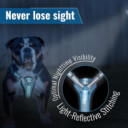 No-Pull Dog Harness with Handle - Escape Proof, Anti-Pulling, Grip Control, Multi-Angle Reflective for Safe Walks & Training, Easy on & Off, Metal Buckle–Pet Harness, Medium/Large Dogs- H3- Black